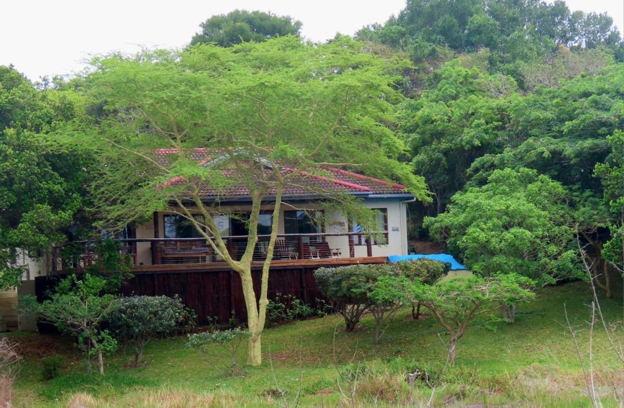 Nkumbe Bush Retreat Family Home Ponta Malongane エクステリア 写真